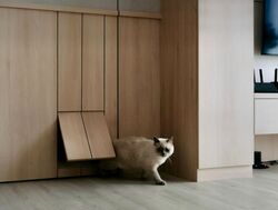 Blk 101A Alkaff Courtview (Toa Payoh), HDB 3 Rooms #501568921